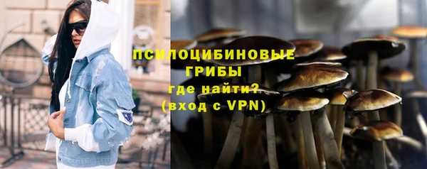 хмурый Абинск