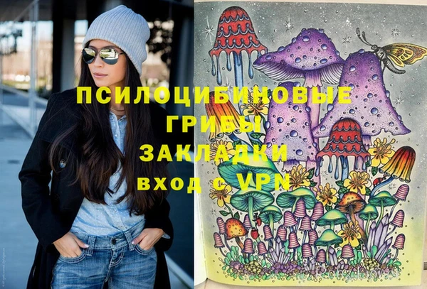 хмурый Абинск